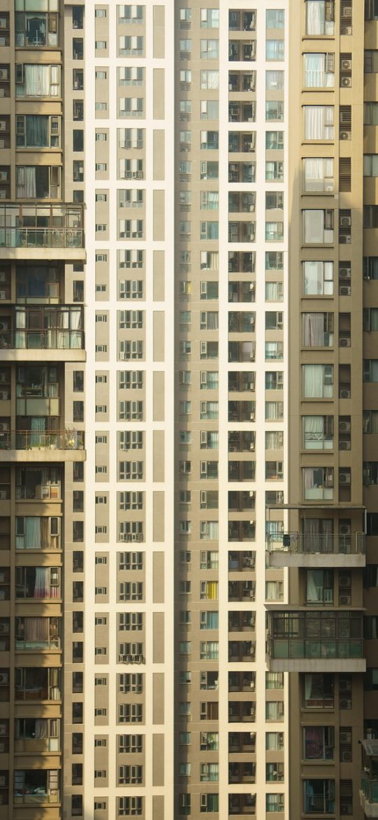 竖屏截图展示 dandex 标签管理页，多个彩色标签按使用频次排成两列，右侧有重命名与合并入口